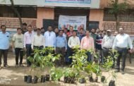 सुसंस्कार हायस्कूल भोसलेवाडी येथे वृक्षारोपण